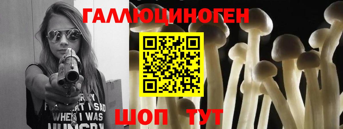 Галлюциногенные грибы мухоморы  Вход с VPN  Псилоцибиновые грибы Psilocybe  Щёлково 